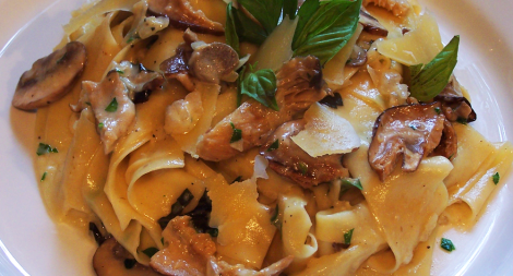 Handmade Papardelle with Creamy Mushroom Sauce