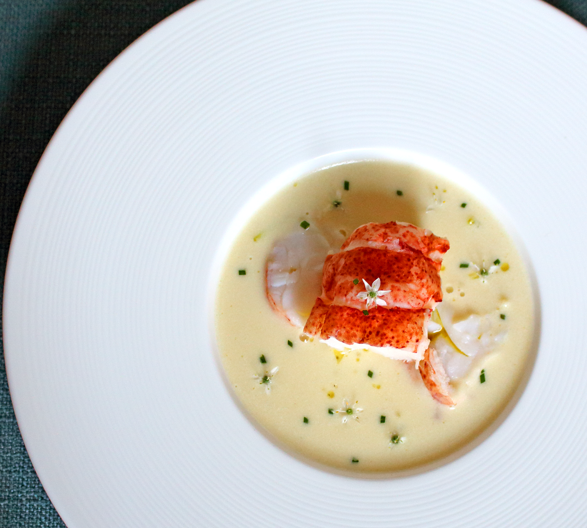 cauliflower vichyssoise with lobster