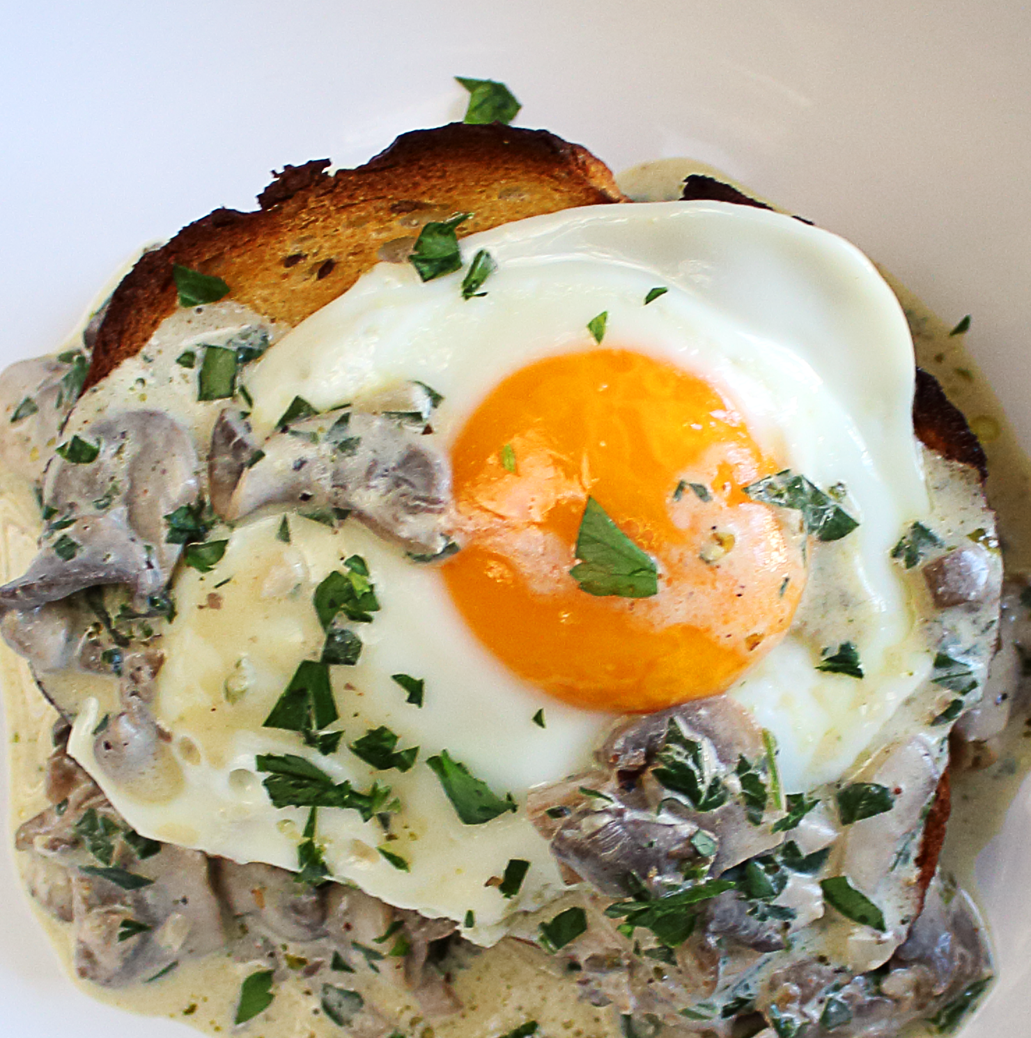 creamy mushroom toast with an egg