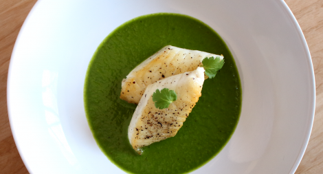 Tilapia with Cilantro Pesto